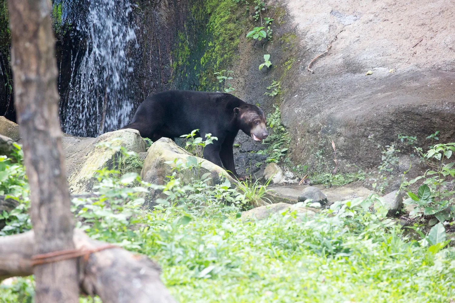Padangbai (14 of 54).jpg