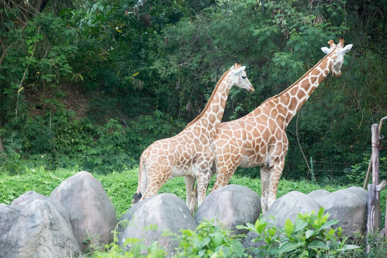 Padangbai (28 of 54).jpg
