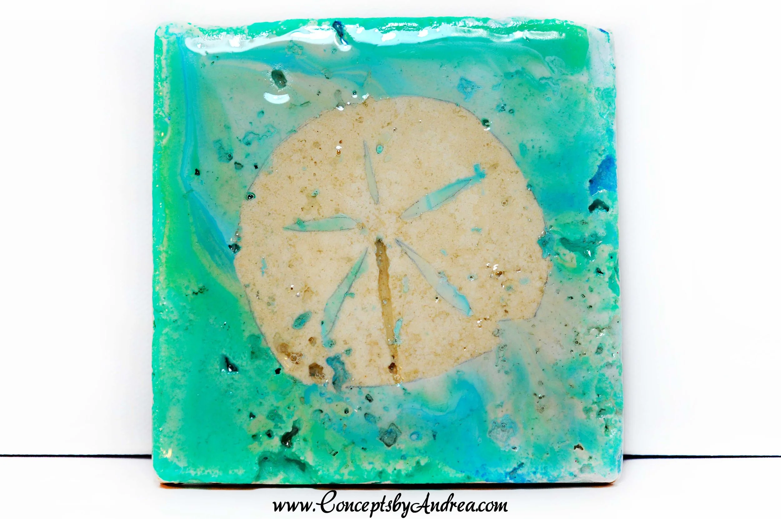 Sanddollar / Beach Theme