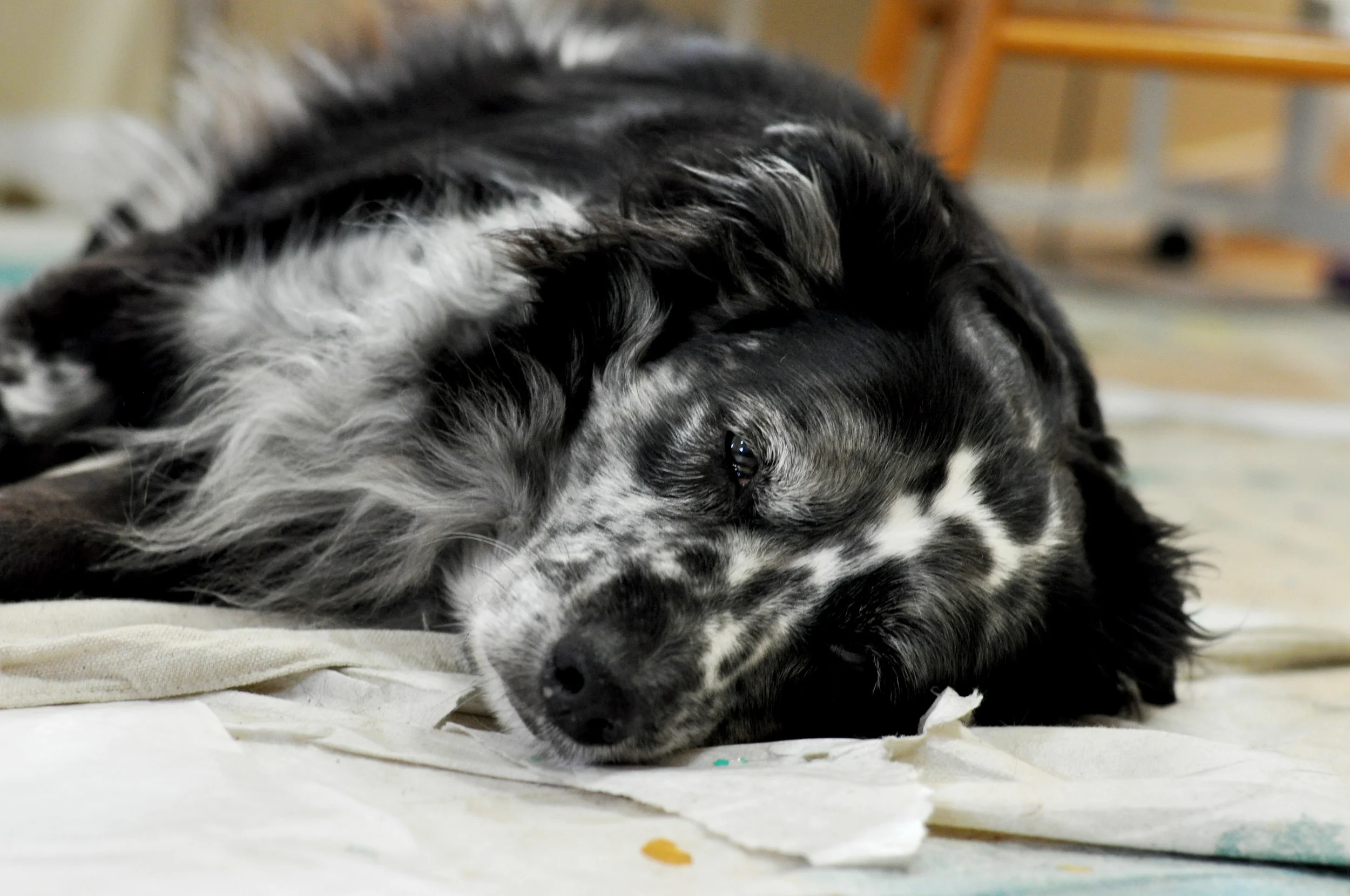 DSC_0158.JPG