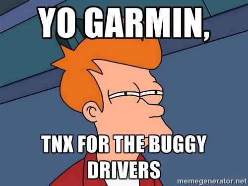 fry.jpg