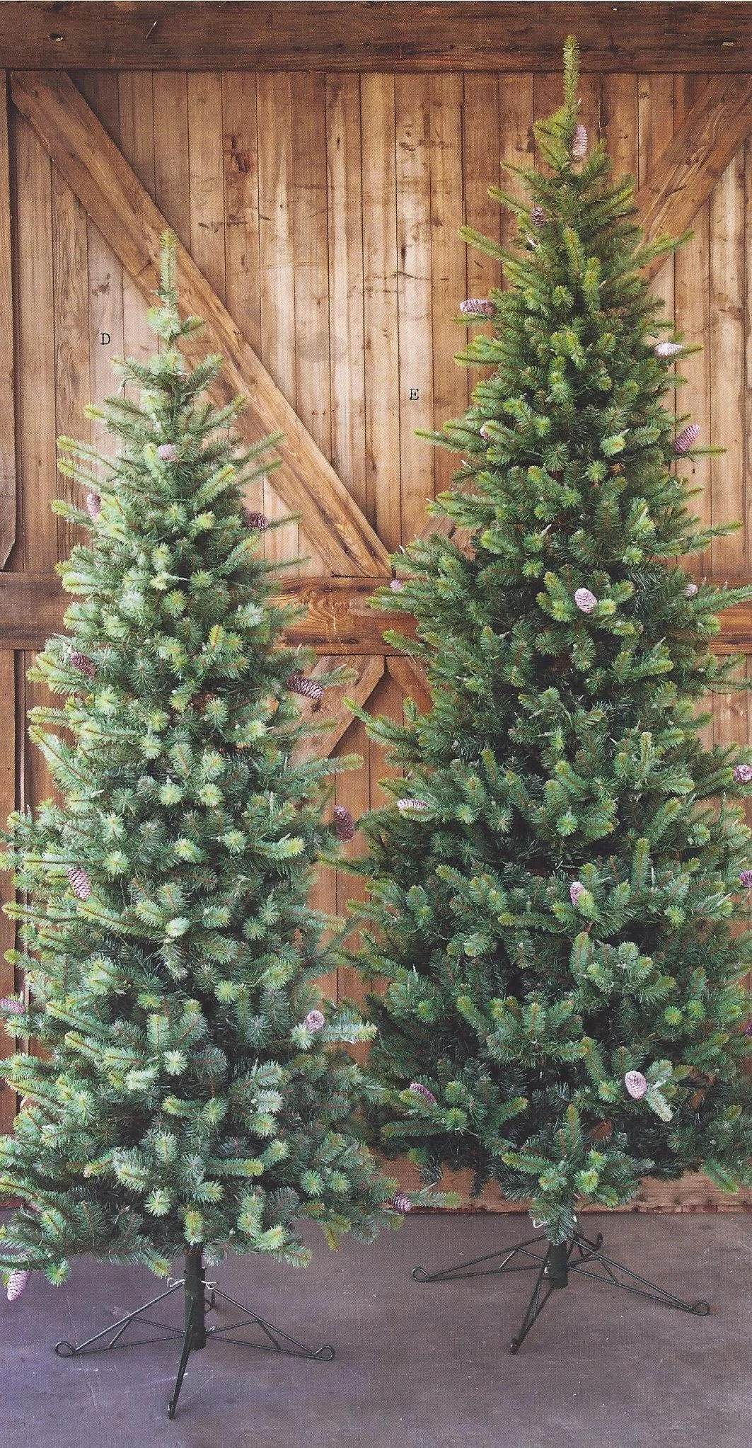 Christmas.trees.undecorated.providence.ltd.design.jpg