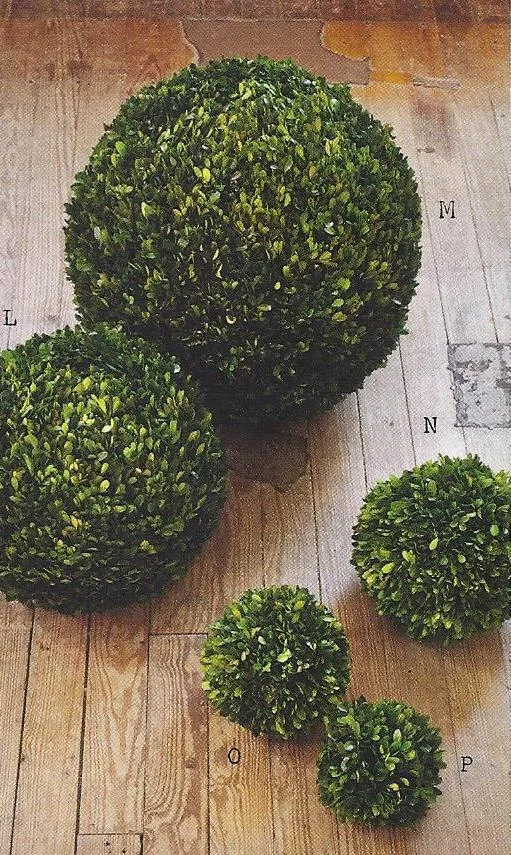 Assorted.boxwood.balls.providence.ltd.design.jpg