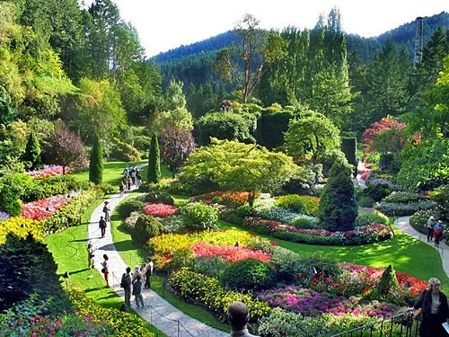 butchart_gardens2.jpggoogle.jpg