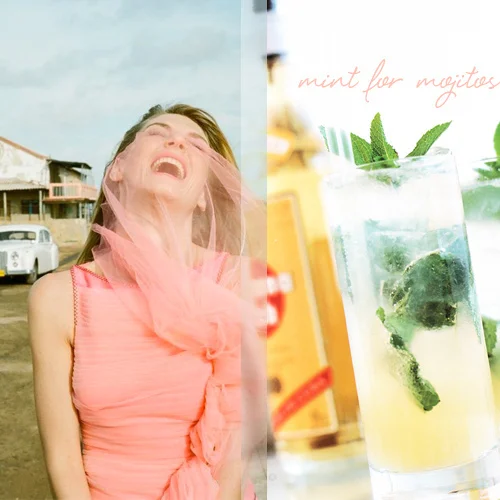 5339930814_1b4bc26cdc.jpgmintherbgardenmojitoscoc+kelley.jpg