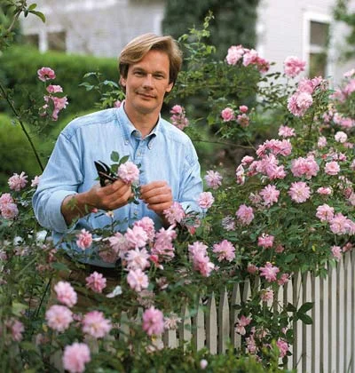 p. allen garden.jpg