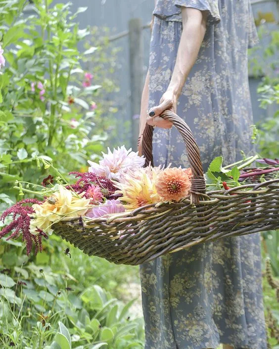 Image Via Eye Swoon