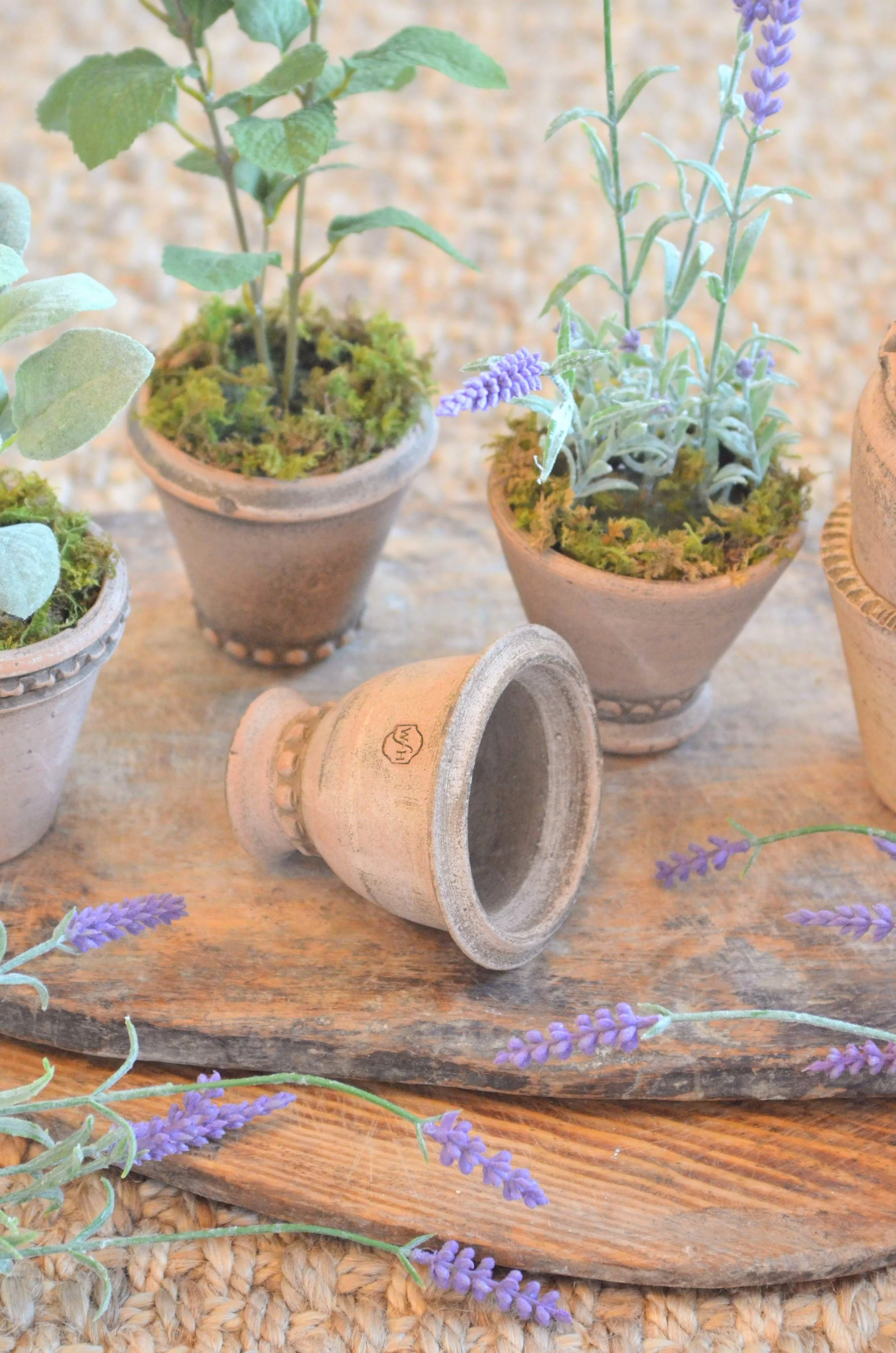 Mini Herb Pots in Terracotta Finish — Providence Design