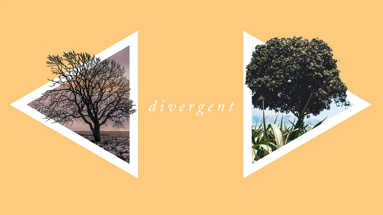 Divergent