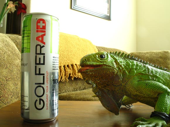 GolferAID580.jpg