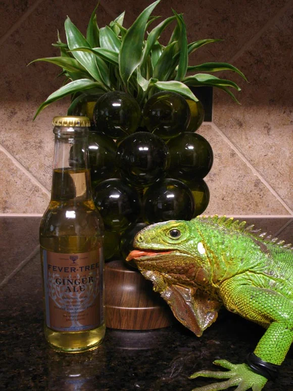 Fever Tree Ginger Ale580.jpg