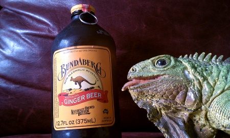 Bundaberg Aus Ginger Beer.jpg