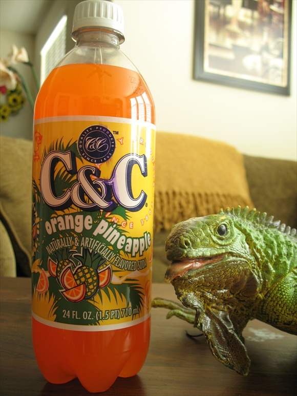 C&C Orange Pineapple580.jpg