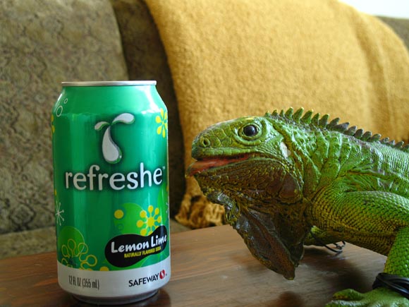 Refreshe Lemon Lime580.jpg