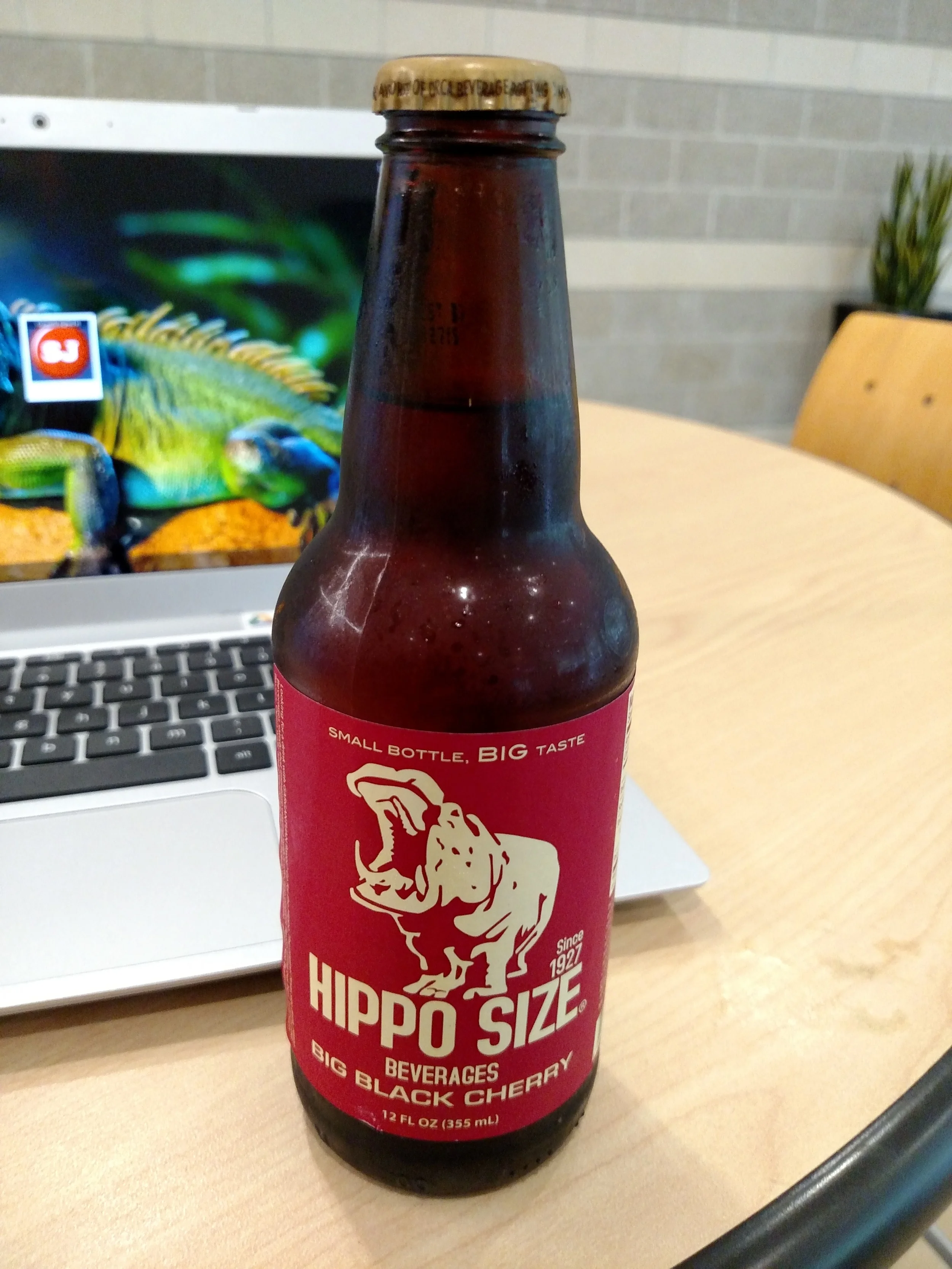 Perhaps I'll get a tiny hippo as my travel mascot.