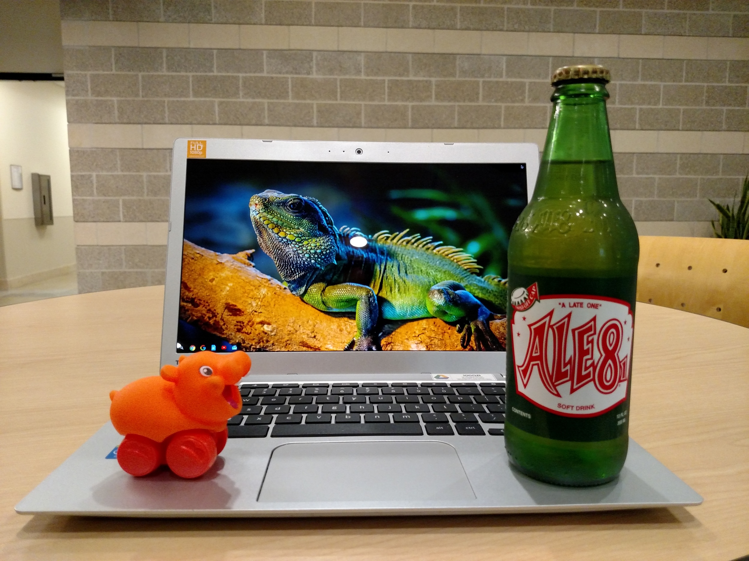 The Hippo figured out it was a ginger ale before me.