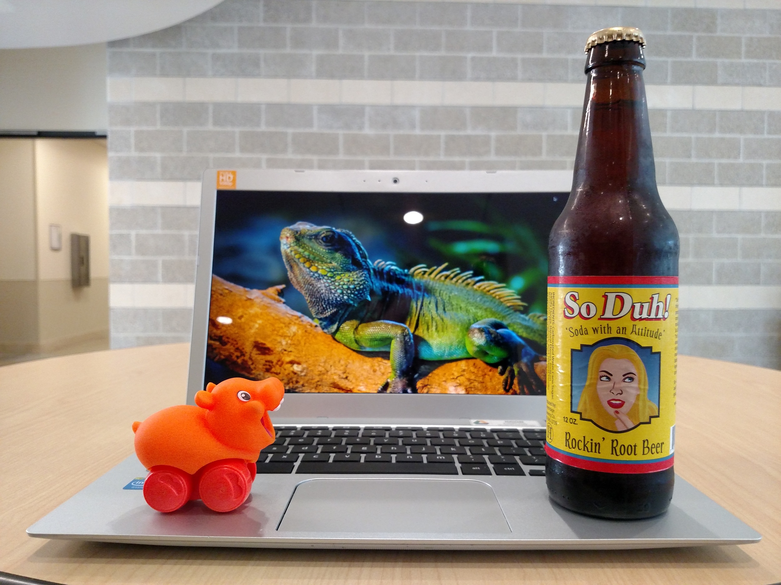 So Duh! Rockin' Root Beer