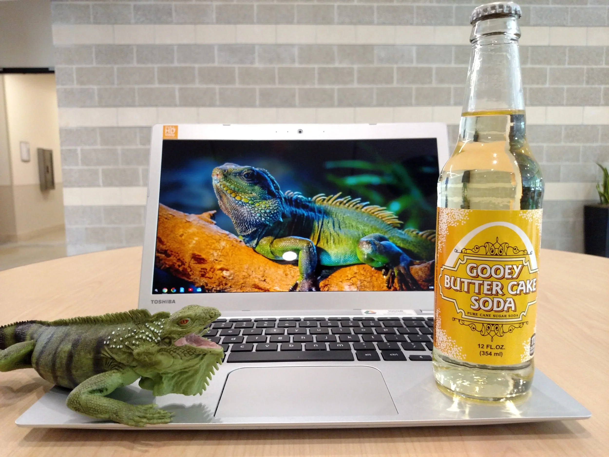 Gooey-guana
