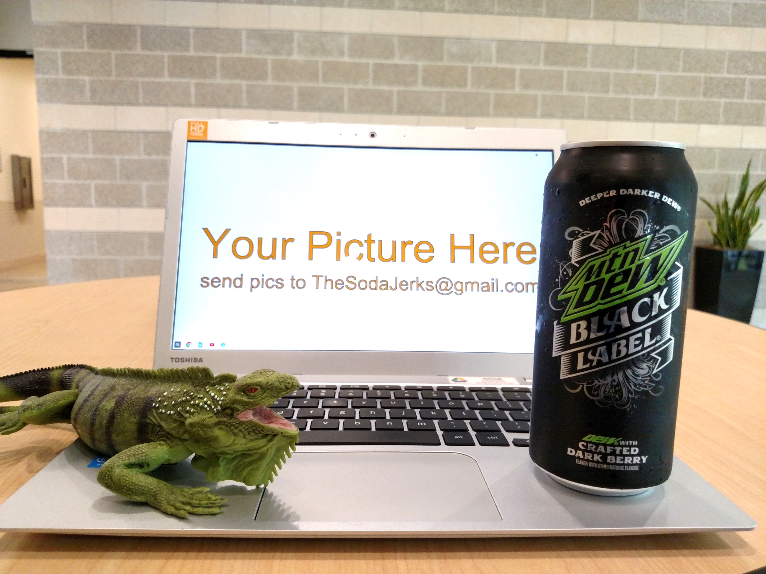 Twist just wants to see your picture!