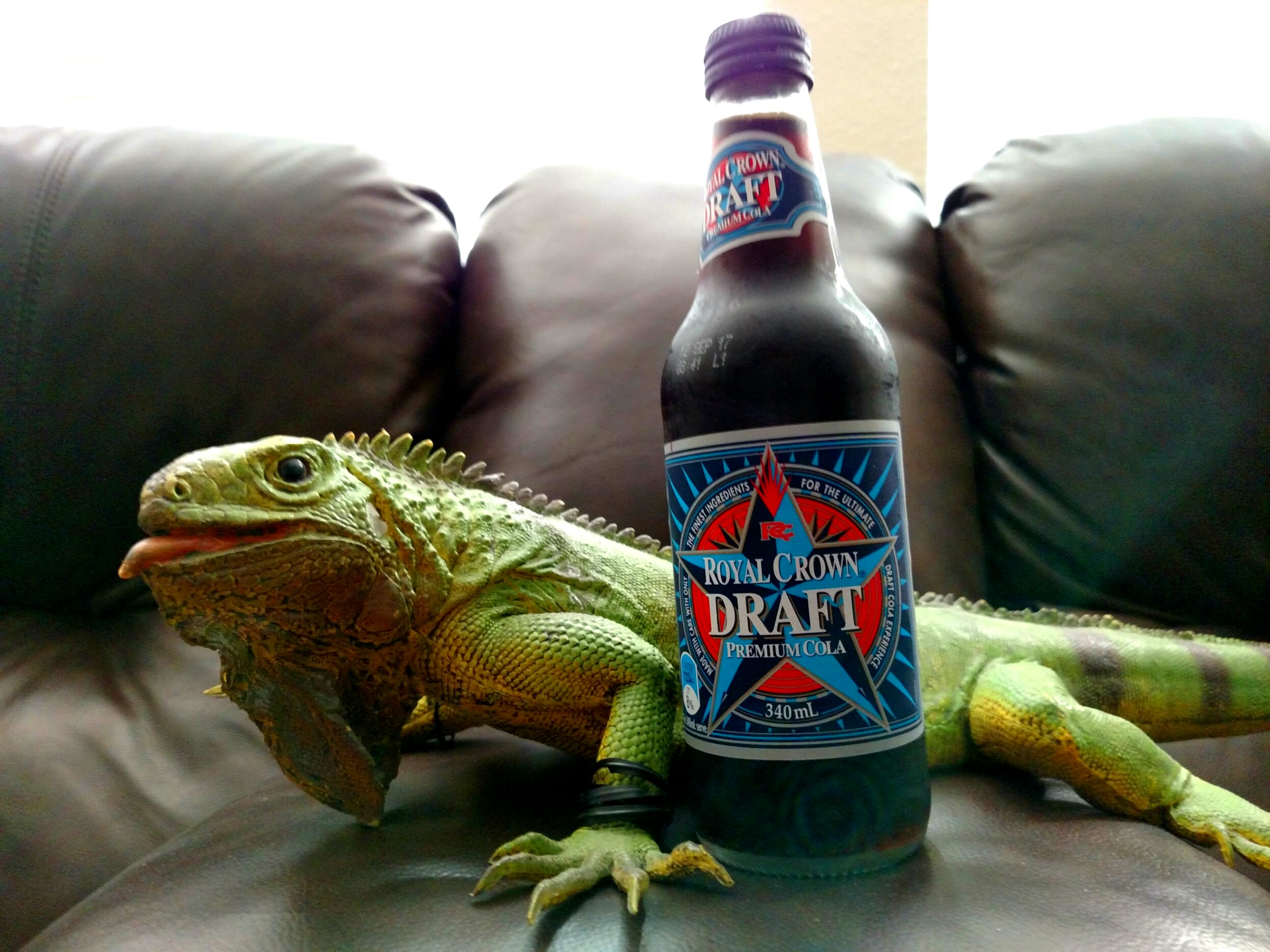 Look how proud Twist looks next to this bottle.