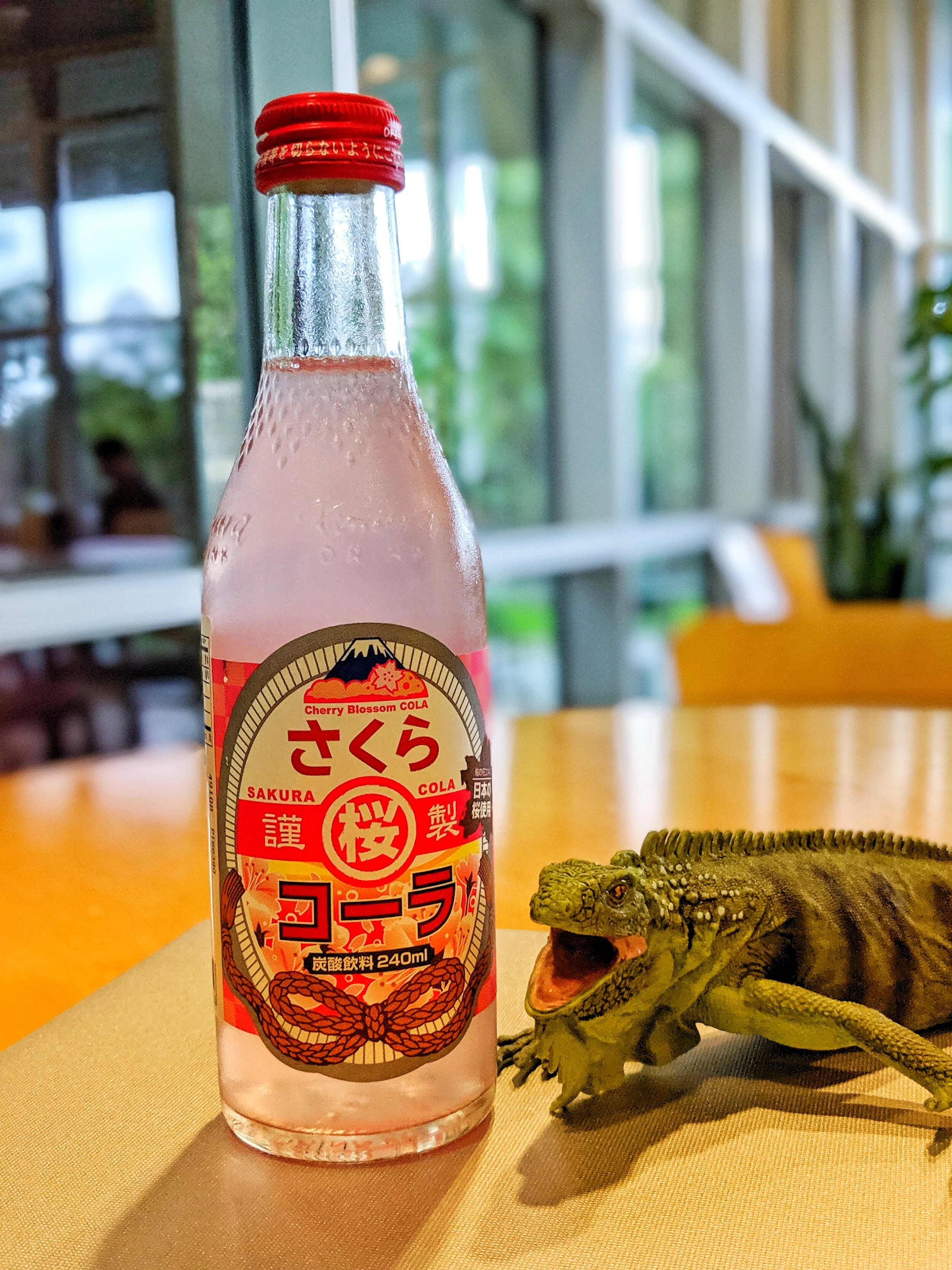Iguana in Japanese is イグアナ