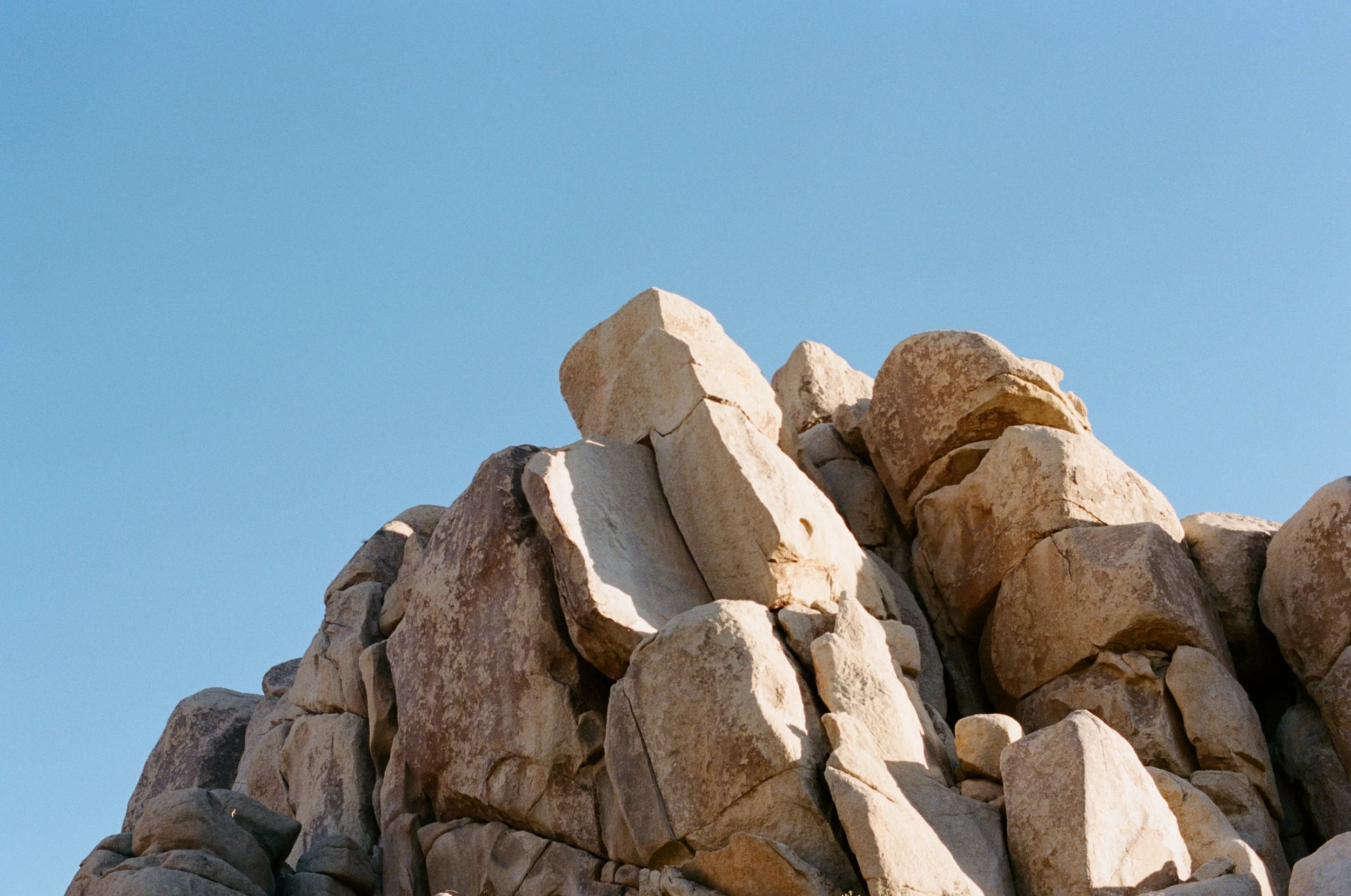 tbooth-8977-P400-03.jpg