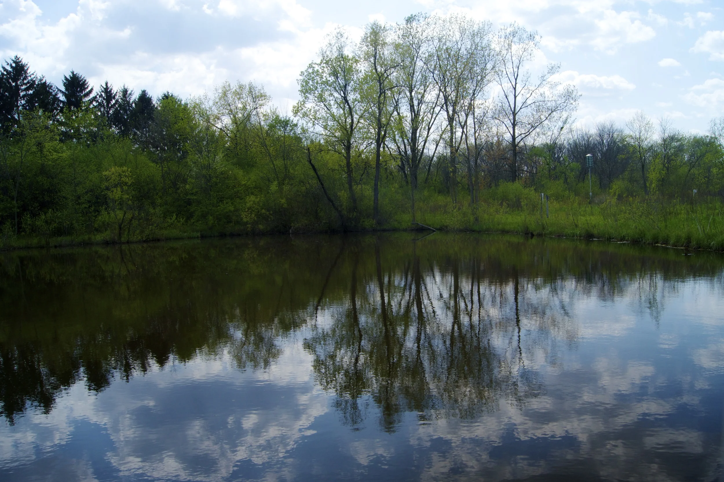 DSC05287.jpg