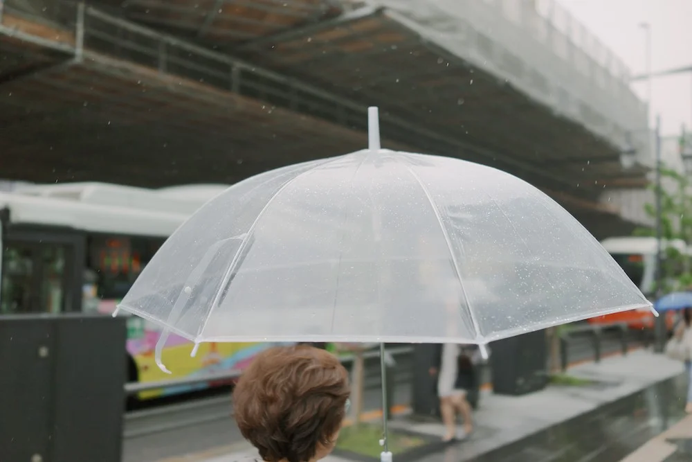 These semi-disposable clear umbrellas are everywhere in Japan.