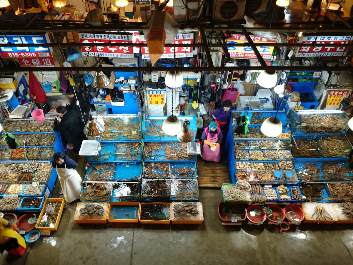 2014-02-06 18.16.24.jpg