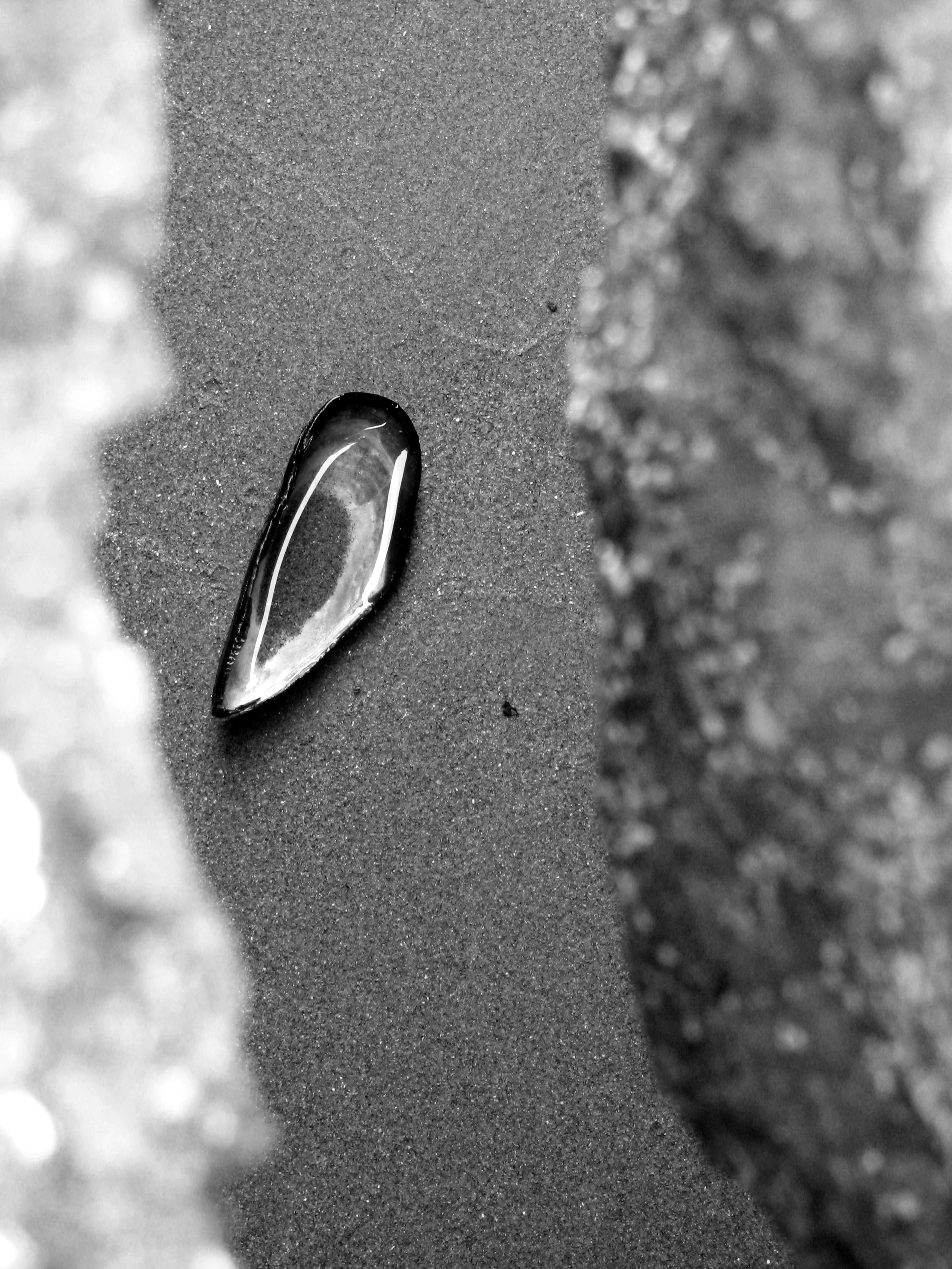 fallen between the cracks