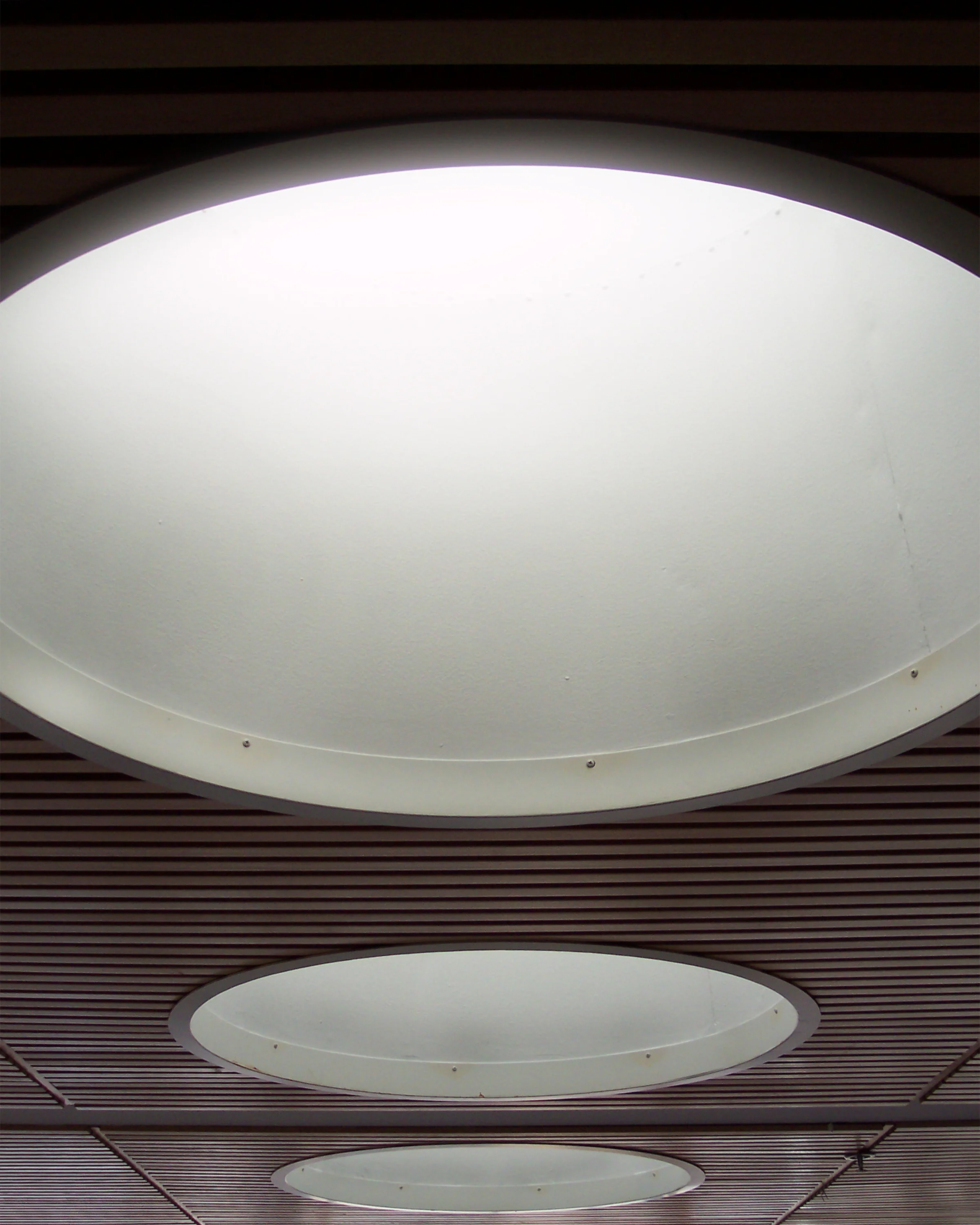 Light in the Sky.jpg