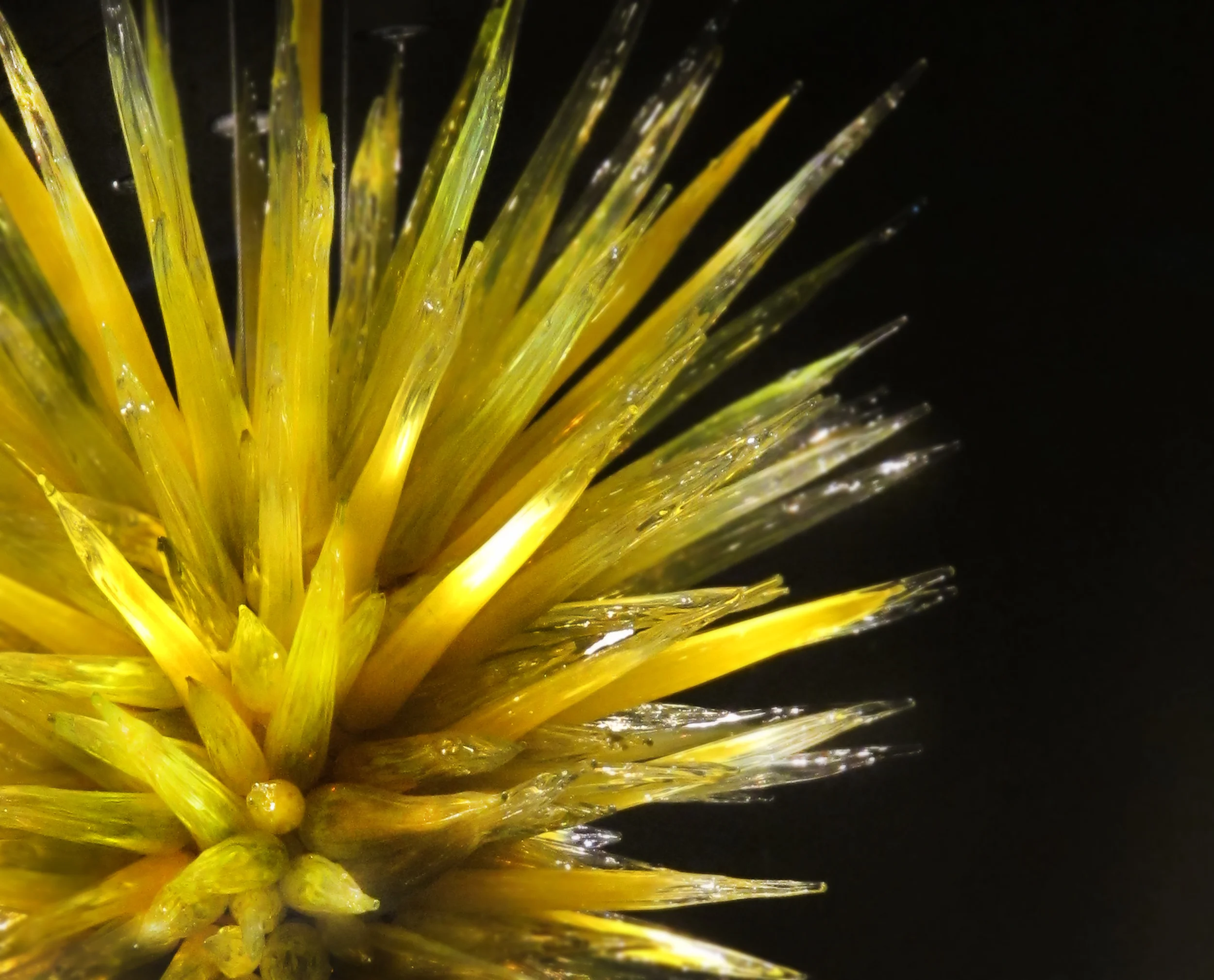 Starburst.jpg