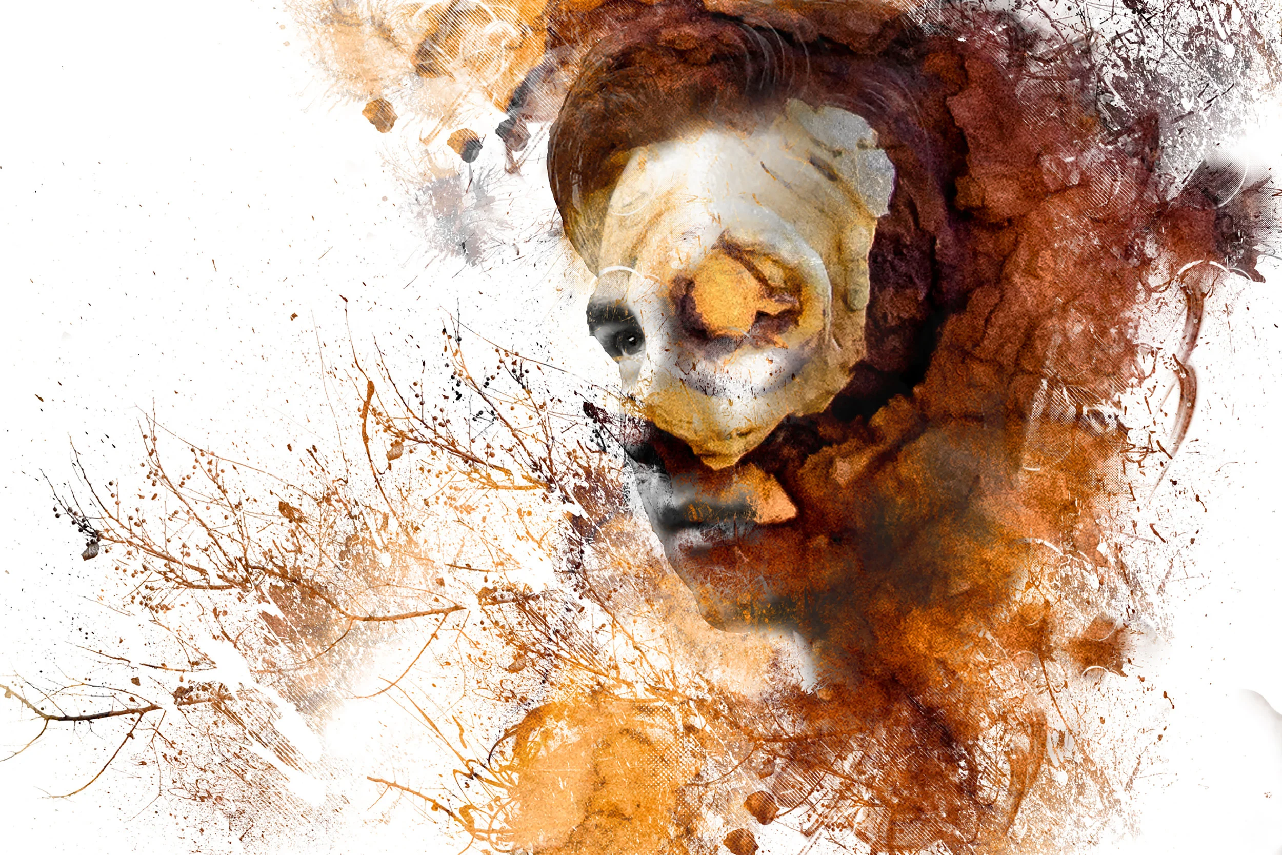 I, Permutate
