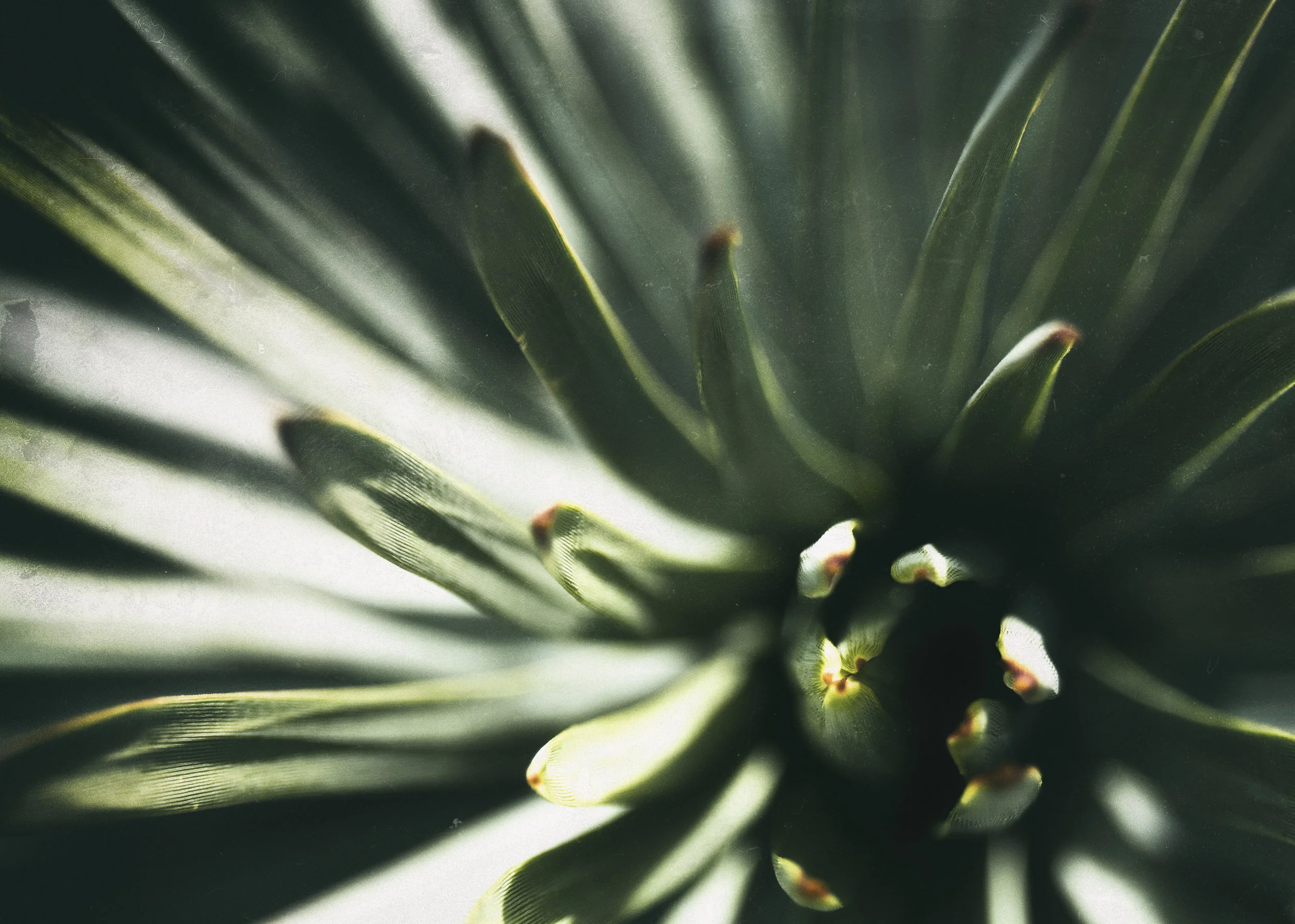 It beckoned and so I answered_Crop.jpg