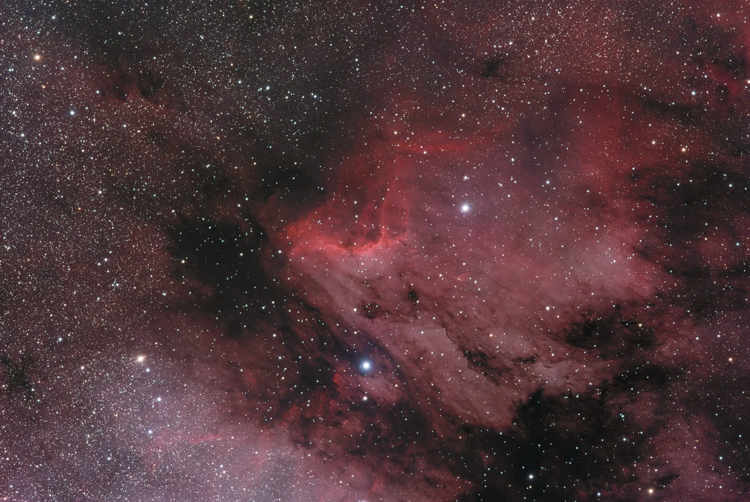 IC5070 Pelican Nebula