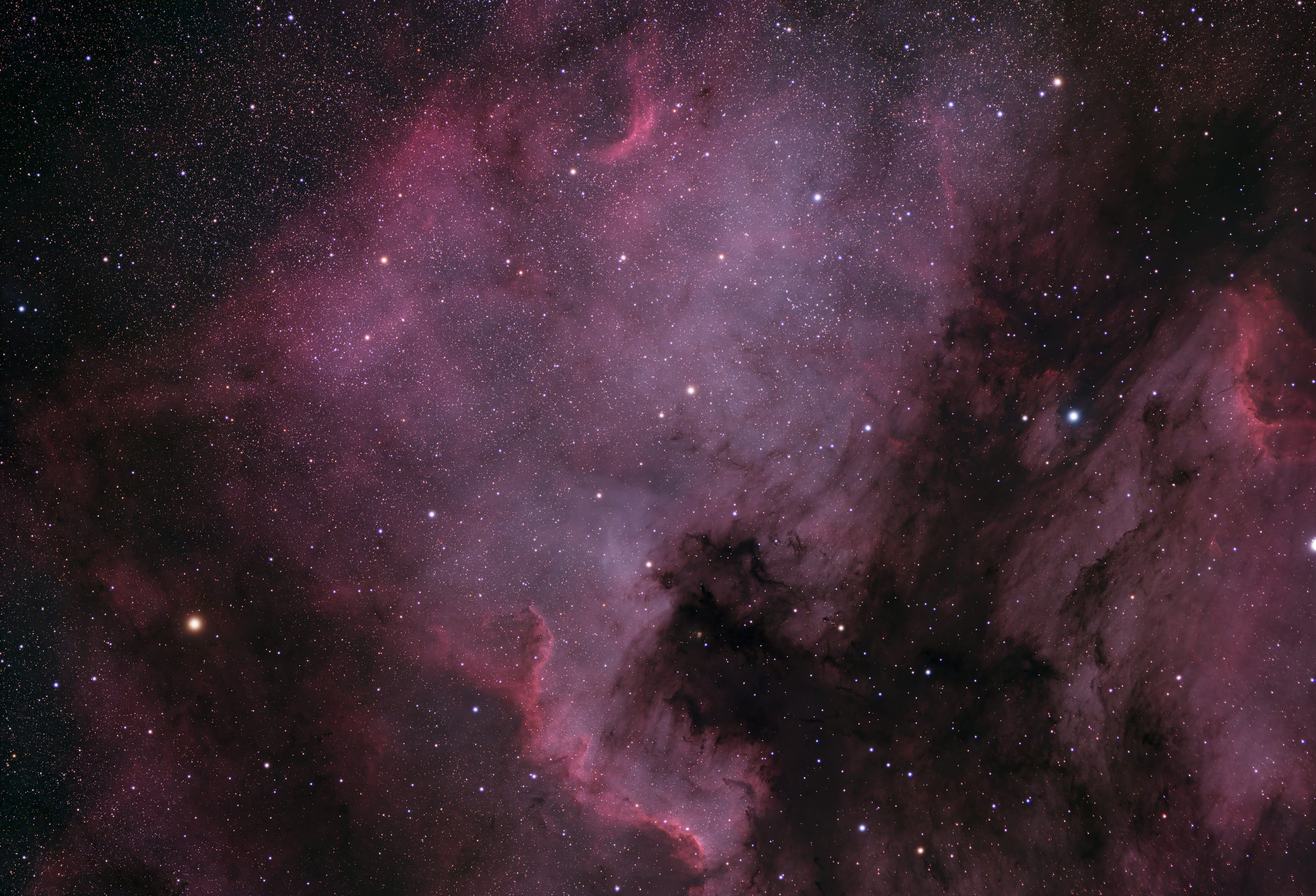  The  North America    Nebula  ( NGC    7000  or  Caldwell 20 ) is an  emission nebula in the constel  lation Cygnus  , clos e to  Deneb (the  tail of the swan and its brightest  star) in  the  night sky. It is n amed because its shape resembles  Nor