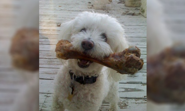 sonny2009.jpg