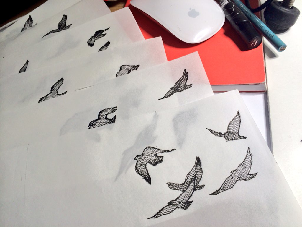 Animated Bird process sketch