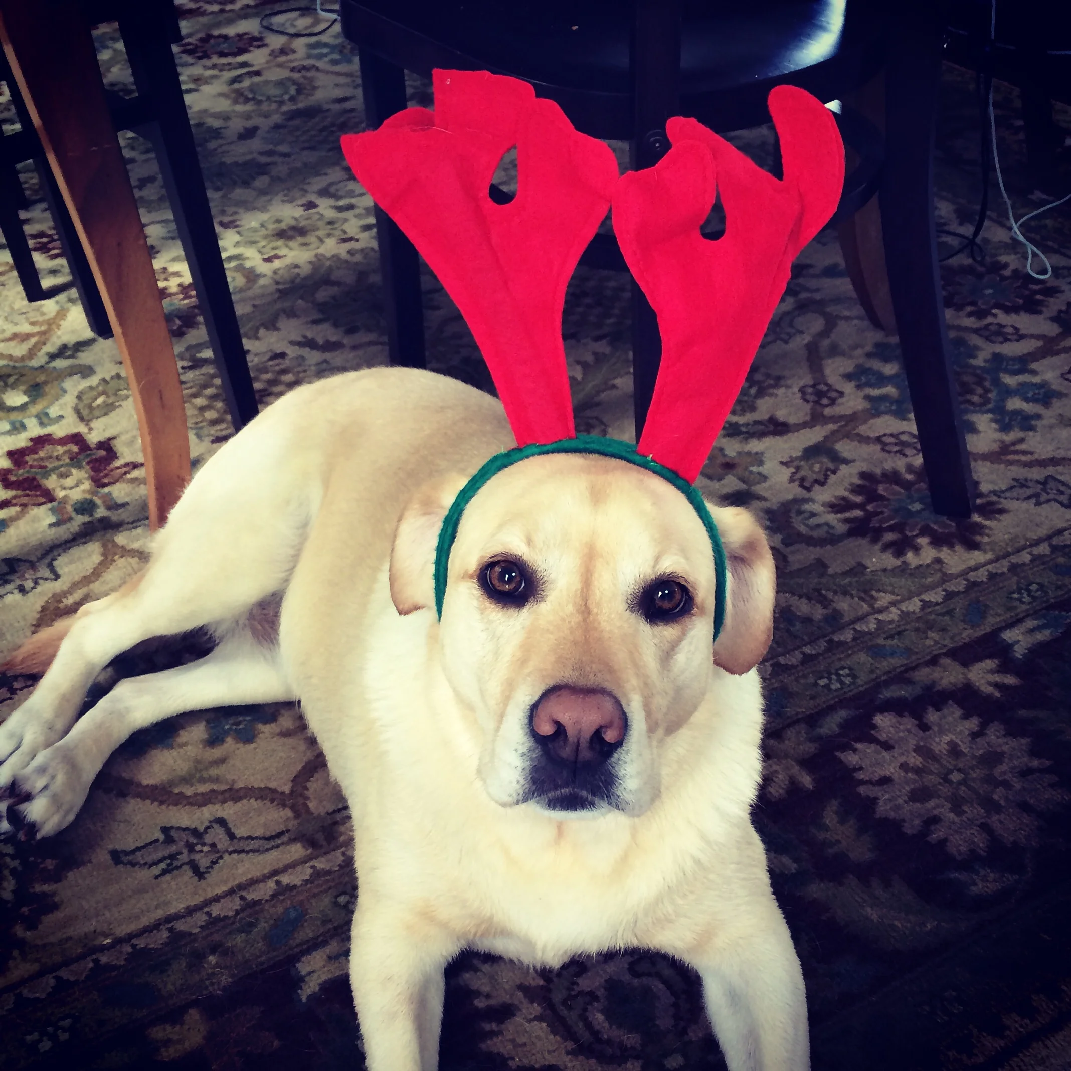 Happy Holidays