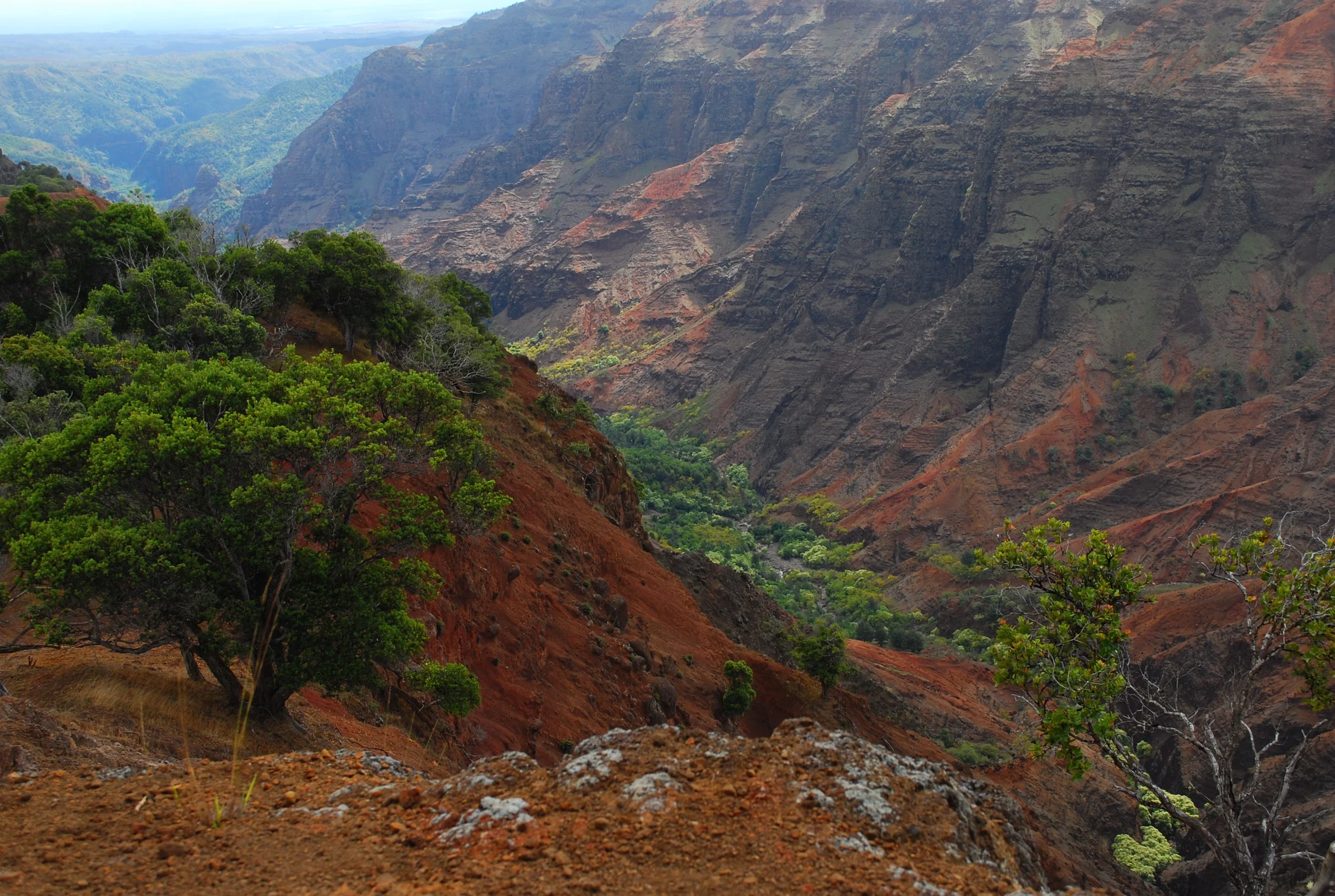 Waimea Canyon, Kauai