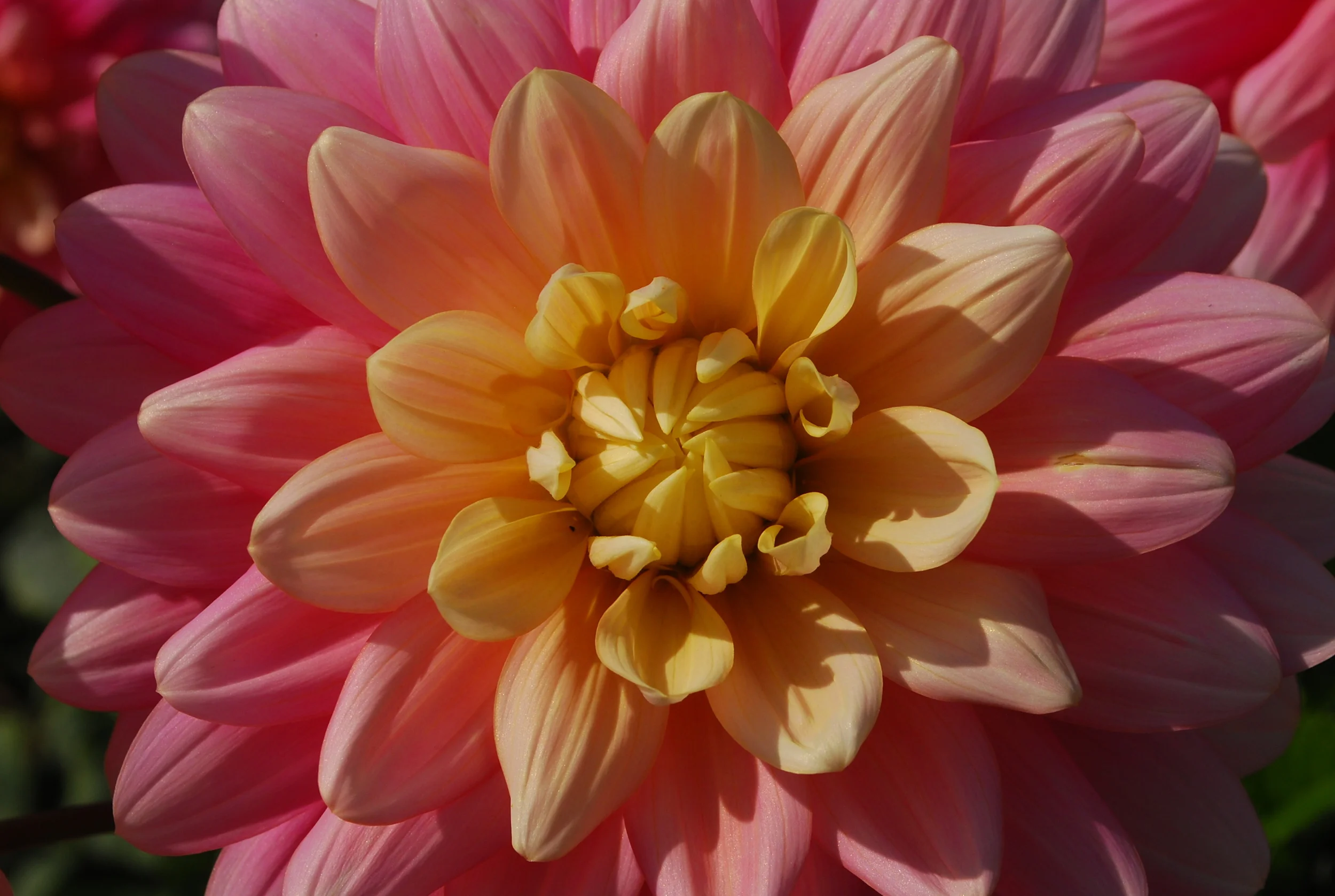 Jardin des Plantes, Paris