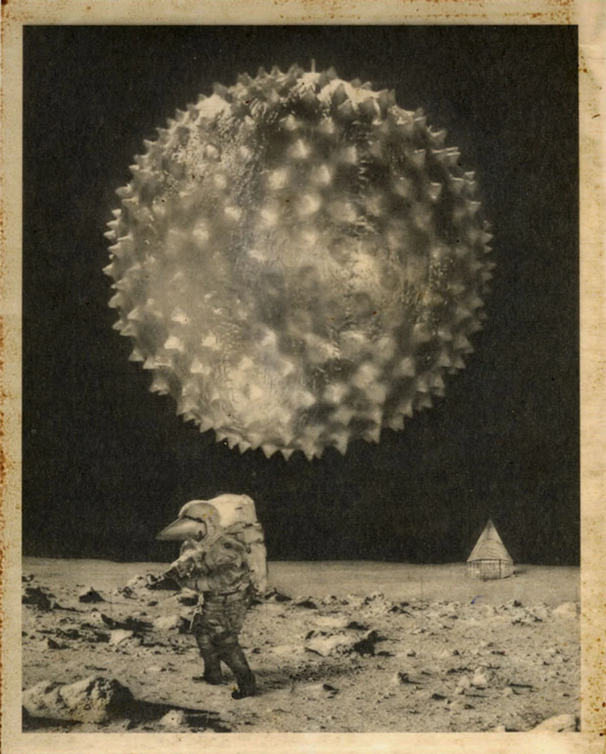 ee. moondroid_2.jpg