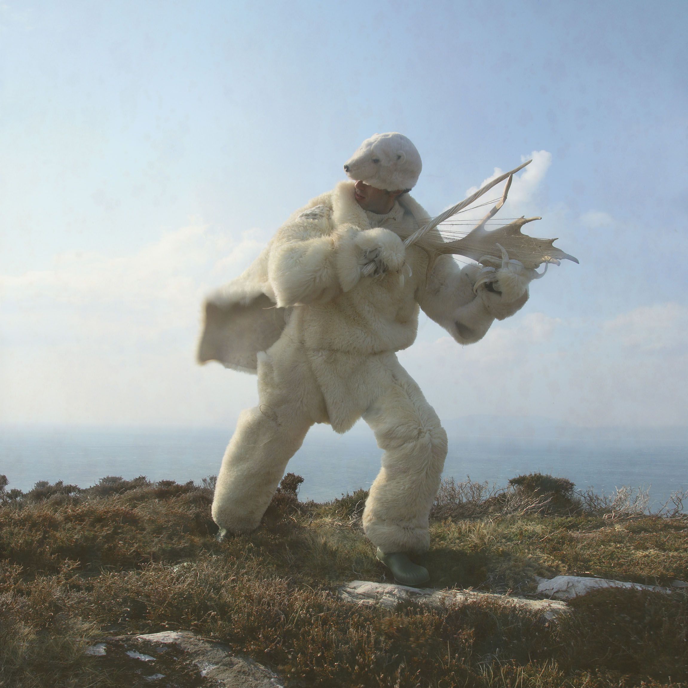 fiddler_bear.jpg