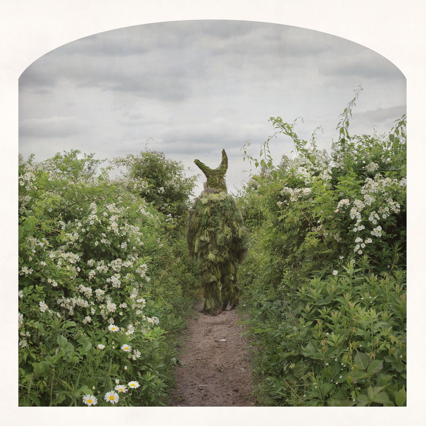 on_a_path_revised(p).jpg