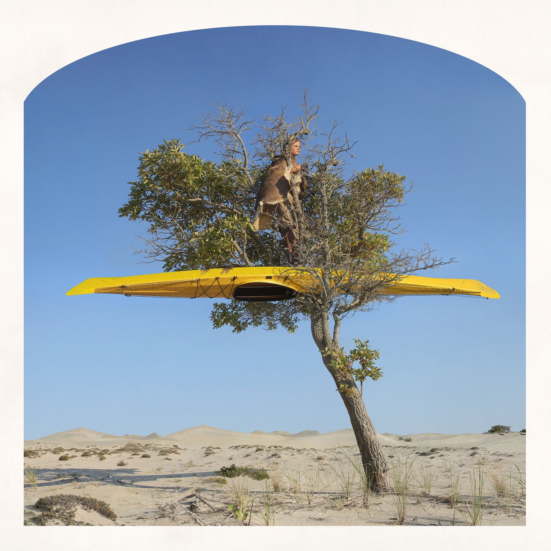treeboat_revised(p).jpg