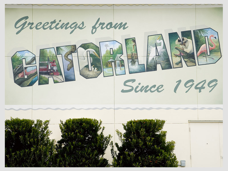 Gatorland Postcard