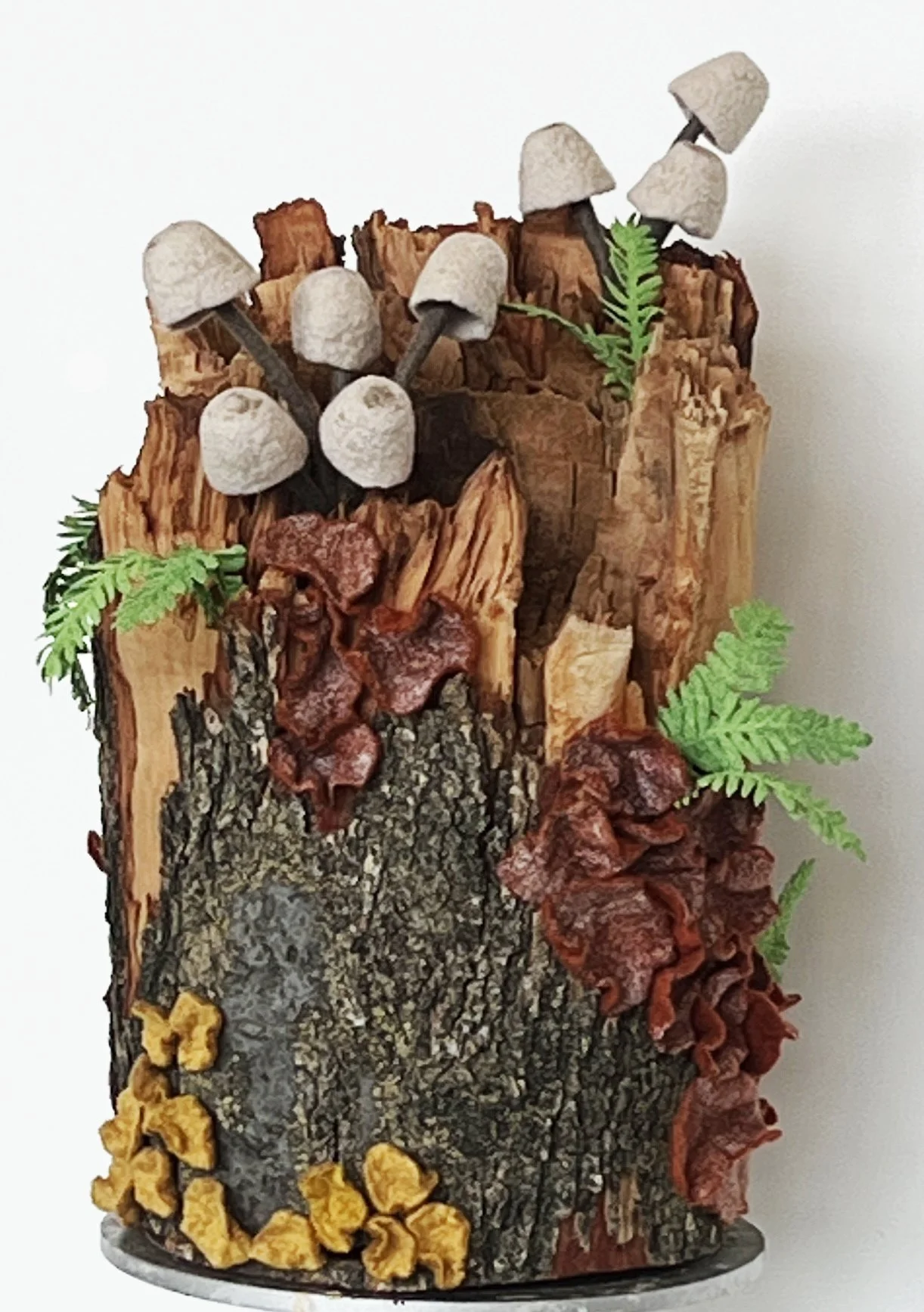 Epiphytes 12