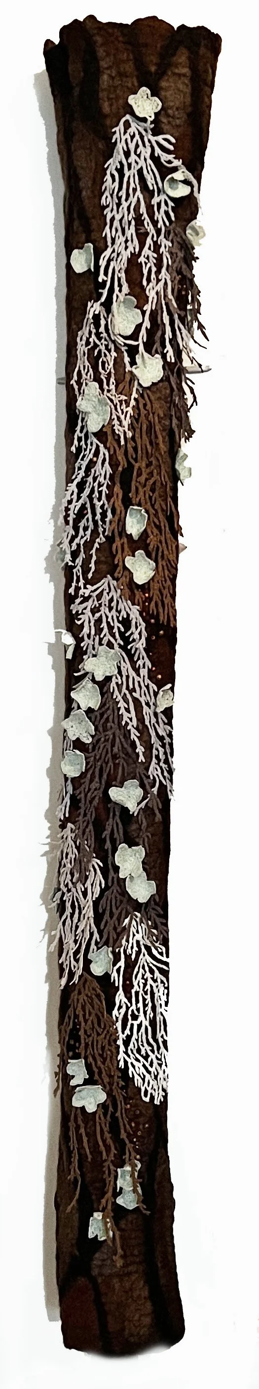 Epiphytes 9