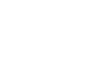 TLTlogo.png