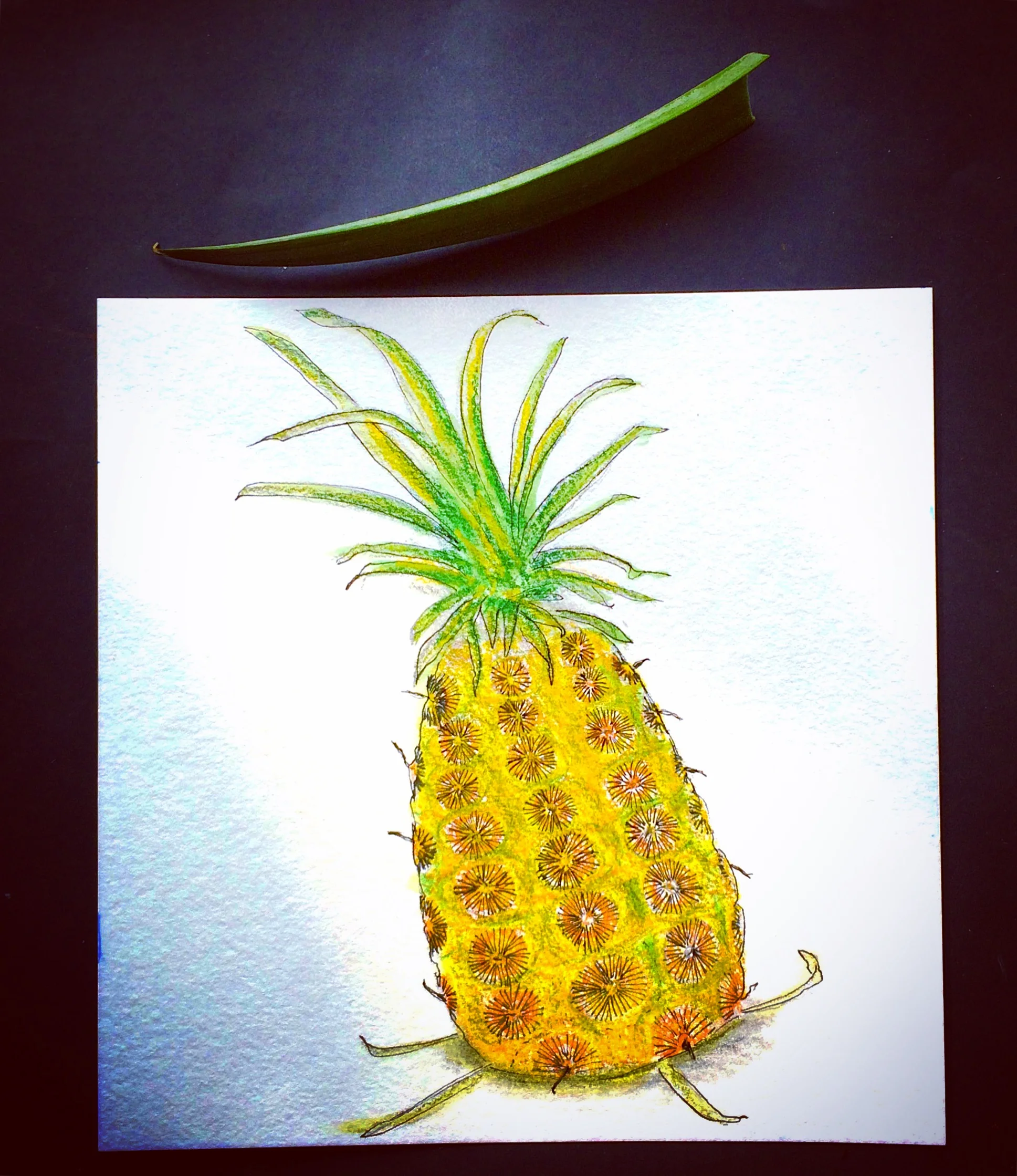 pineapple.jpg